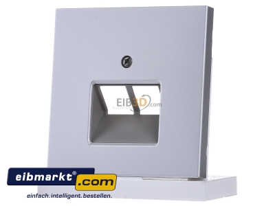 Front view Jung AL 2969-2 UA Plate UAE/IAE (ISDN)
