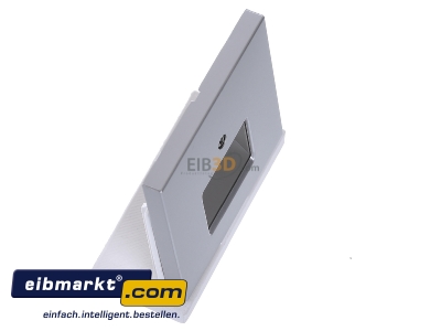 View top left Jung AL 2969-2 UA Plate UAE/IAE (ISDN)
