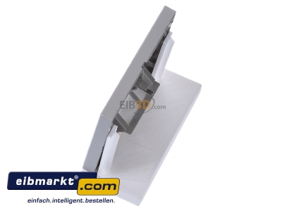 View top right Jung AL 2969-2 UA Plate UAE/IAE (ISDN)
