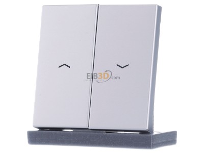 Frontansicht Jung AL 2995 P Wippe Symbole alu f�r Taster 