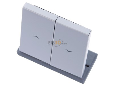 Ansicht oben vorne Jung AL 2995 P Wippe Symbole alu f�r Taster 