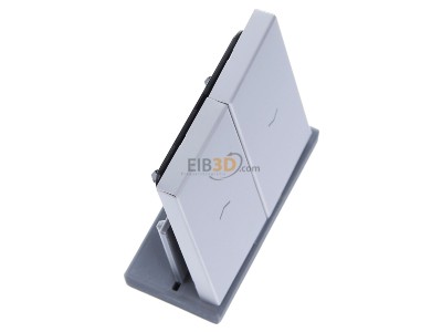 Ansicht oben links Jung AL 2995 P Wippe Symbole alu f�r Taster 