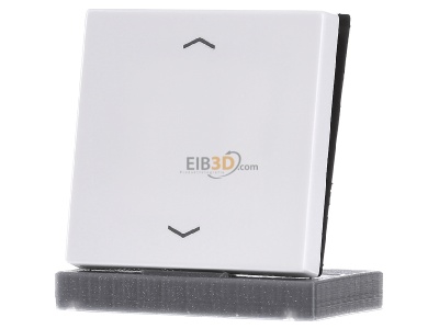 Frontansicht Jung A 590 P WW Wippe Symbole aws f�r Taster 
