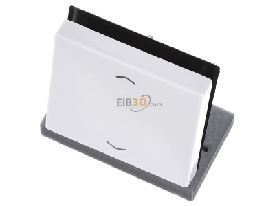Ansicht oben vorne Jung A 590 P WW Wippe Symbole aws f�r Taster 