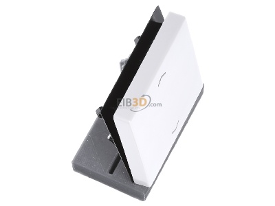 Ansicht oben links Jung A 590 P WW Wippe Symbole aws f�r Taster 