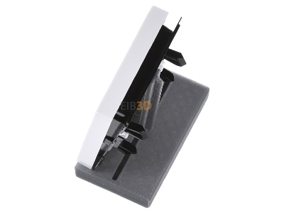Ansicht oben rechts Jung A 590 P WW Wippe Symbole aws f�r Taster 
