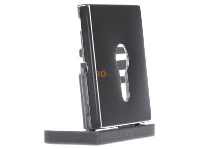 Ansicht links Jung ES 2925 Abdeckung eds f�r Schl�sselschalt. 