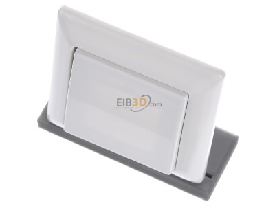 Ansicht oben vorne Jung AS 590 WW Wippe aws f�r Taster 