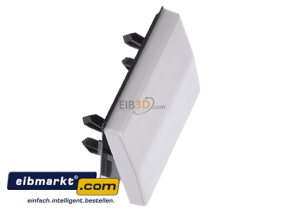 Ansicht oben links Jung AS 591 Wippe ws f�r Taster 