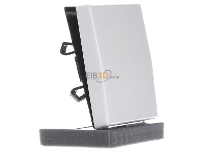 View on the left Jung AS 591 WW Rocker for buttons, alpine white, 
