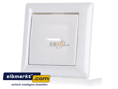 Frontansicht Jung AS 590 KO5 WW Abdeckung Lichtleiter aws f�r Taster 