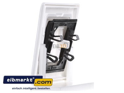 Ansicht rechts Jung AS 590 KO5 WW Abdeckung Lichtleiter aws f�r Taster 