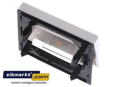 Ansicht oben hinten Jung AS 591 KO5 Wippe Lichtleiter ws f�r Taster 