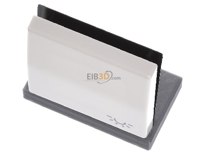 Ansicht oben vorne Jung AS 591 L Wippe Symbol LICHT ws f�r Taster 