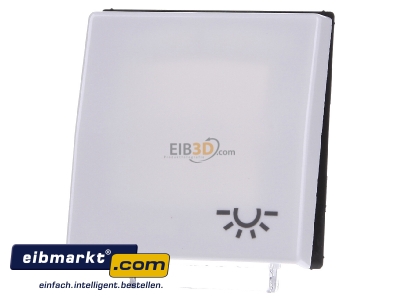 Frontansicht Jung AS 591 L WW Wippe Symbol LICHT aws f�r Taster 