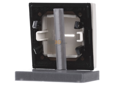 Ansicht hinten Jung AS 591 KO5L Wippe Sym.LICHT/Lichtl.ws f�r beleuchtb.Taster 