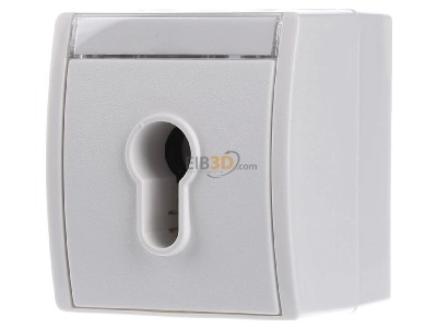 Front view Busch Jaeger 2733 SLW-54 Switch surface mounted white 
