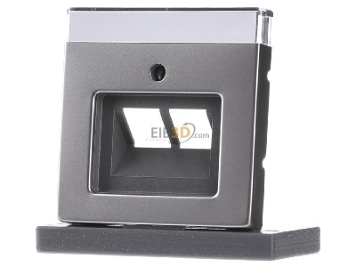 Frontansicht Busch Jaeger 1803-02-866 Zentralscheibe eds f.UAE-Anschlussdo.2f 