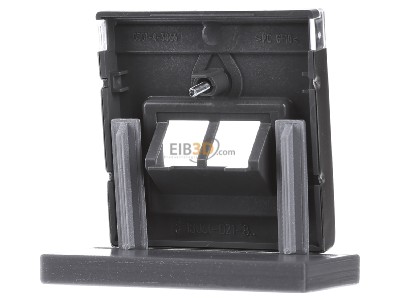 Ansicht hinten Busch Jaeger 1803-02-866 Zentralscheibe eds f.UAE-Anschlussdo.2f 