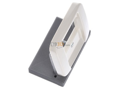 Ansicht oben links Busch Jaeger 1762-212-506 Zentralscheibe ws f.Telefonsteckd.TDO 