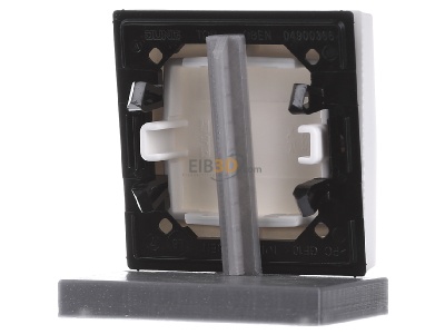 Ansicht hinten Jung AS 591 P WW Wippe Symbole aws f�r Taster 