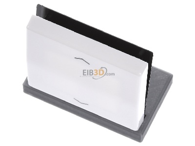 Ansicht oben vorne Jung AS 591 P WW Wippe Symbole aws f�r Taster 