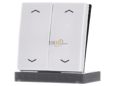 Frontansicht Jung AS 591-5 MP WW Wippe Symbole aws f�r Taster 