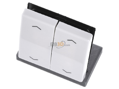Ansicht oben vorne Jung AS 591-5 MP WW Wippe Symbole aws f�r Taster 