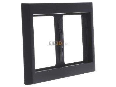 View on the left Berker 13637006 Frame 2-gang anthracite 
