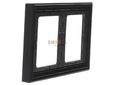 View on the right Berker 13637006 Frame 2-gang anthracite 

