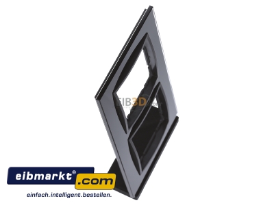 View top left Berker 10126616 Frame 2-gang black 
