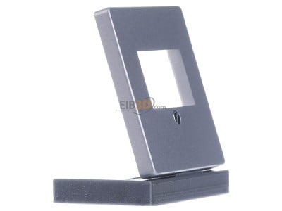 View on the left Siemens 5TG1256-2 Central cover plate TAE 
