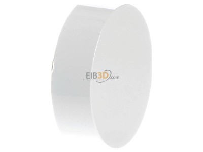 View on the left Gira 091001 Turn button for domestic switch device 
