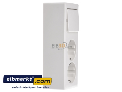 View on the left Peha H 6696/2 Combination switch/wall socket outlet 
