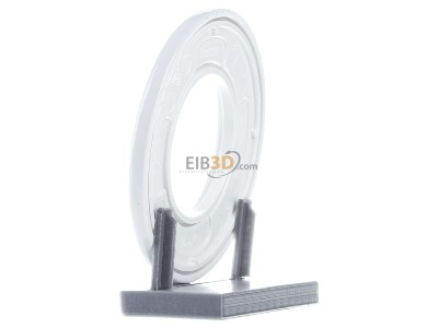 View on the right Berker 138169 Frame 1-gang white
