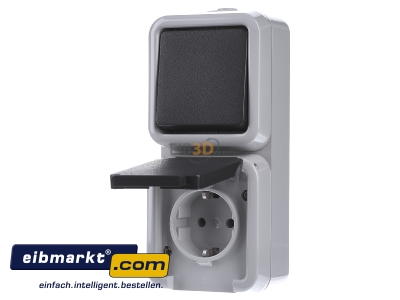 Front view Peha D 6666 WAB Combination switch/wall socket outlet
