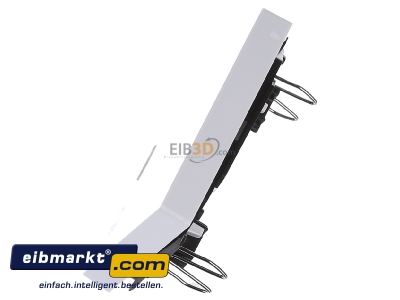 Ansicht oben rechts Merten 435219 Wippe Kontr.Fenster pws/gl Aufdruck Steckdose 