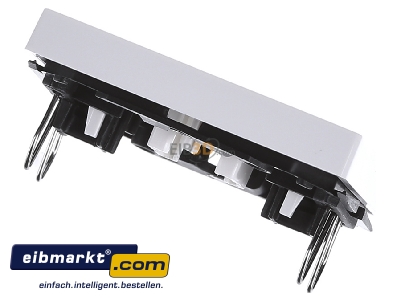 Ansicht oben hinten Merten 435219 Wippe Kontr.Fenster pws/gl Aufdruck Steckdose 