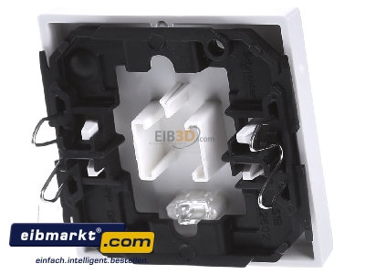 Ansicht hinten Merten 435919 Wippe Kontr.Fenster pws/gl Aufdruck Licht 