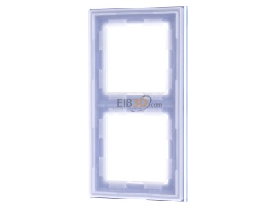 Ansicht hinten Jung AC 582 GL BLGR Glasrahmen 2-fach bl/gr waage/senkrecht 