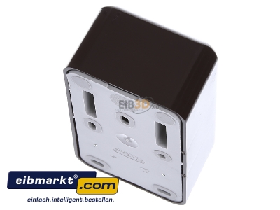 Top rear view Elso 388502 Combination switch/wall socket outlet
