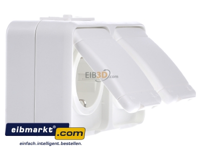 Ansicht links Elso 445404 Steckdose 2-fach AP reinwei 