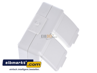 Ansicht oben links Elso 445404 Steckdose 2-fach AP reinwei 