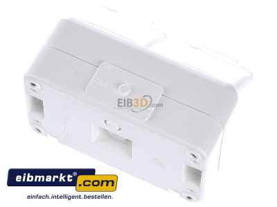Ansicht oben hinten Elso 445404 Steckdose 2-fach AP reinwei 