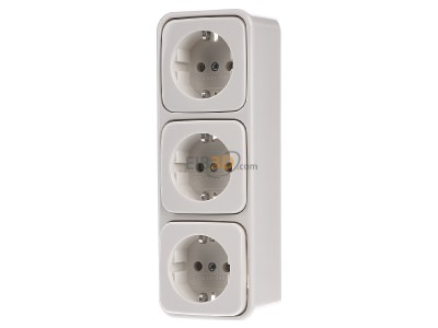 Front view Busch Jaeger 2300-03 EAP Socket outlet (receptacle) 
