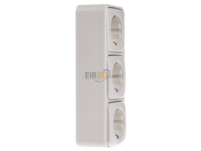 View on the left Busch Jaeger 2300-03 EAP Socket outlet (receptacle) 

