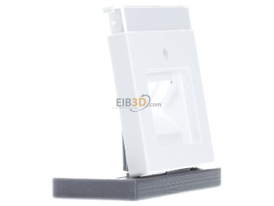 Ansicht links Busch Jaeger 1803-02-84 Zentralscheibe dav/sws f.UAE-Anschlussdo.2f 