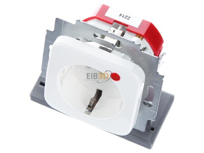 View up front Busch Jaeger 2310EUGL/VA-214-11 Socket outlet (receptacle) 
