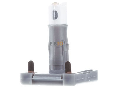 Ansicht hinten Busch Jaeger 8383-10 LED Beleuchtungseinheit m.Sockel,2mA,LED ws 