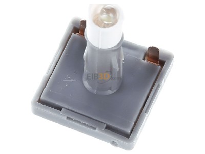 Ansicht oben vorne Busch Jaeger 8383-10 LED Beleuchtungseinheit m.Sockel,2mA,LED ws 